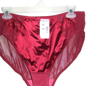 Goddess Hi Cut SATIN MESH Brief Panty size 2X LOT